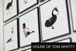 House of Tom Whitty
